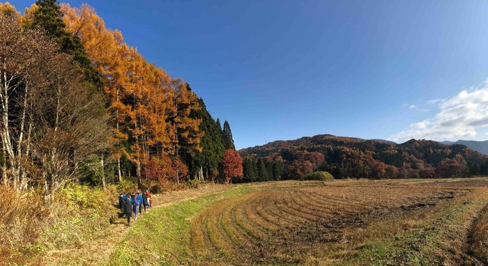 森/白馬インターナショナルスクール