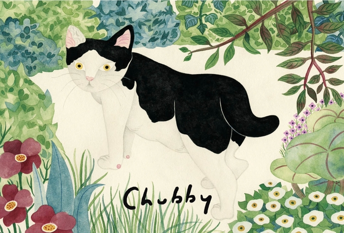 水沢そら 絵本『binder kiken 2 Sora Mizusawa ちゃっくん』