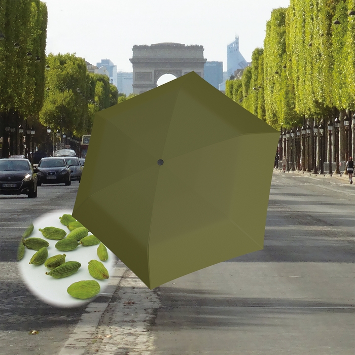 U.220/US.050 Cardamom