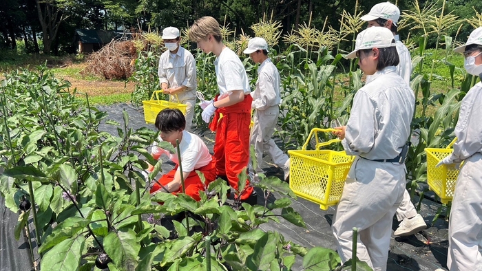 FANTASTICS畑 全員集合!福島夏野菜スペシャル 場面写真(3)