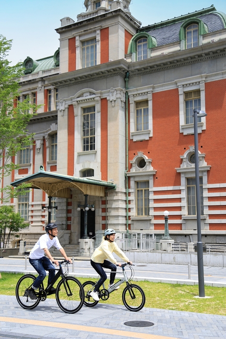 TRANS MOBILLY e-UNITY7016/207_image3