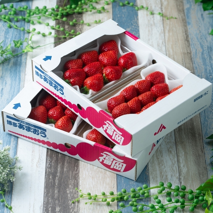 『岩田屋本店・南国フルーツ』福岡産あまおう苺・デラックス(DX)4パック