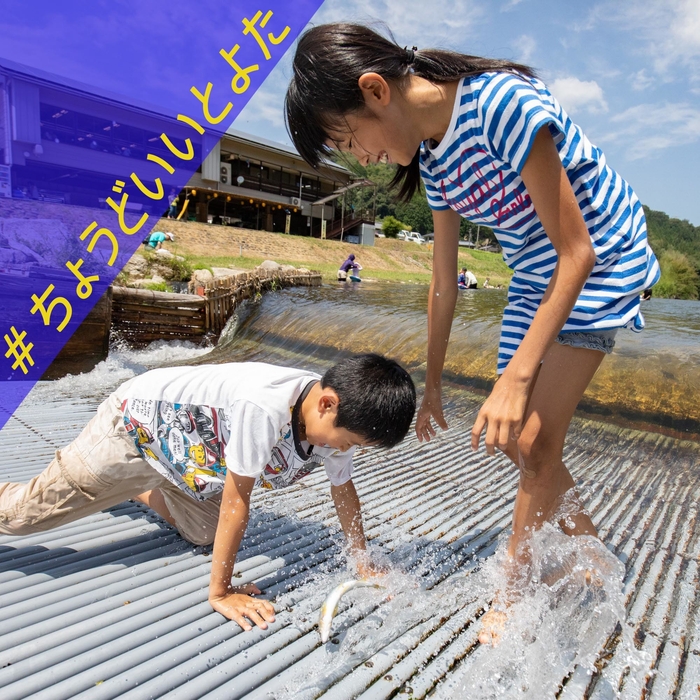 #ちょうどいいとよた(川口やな)