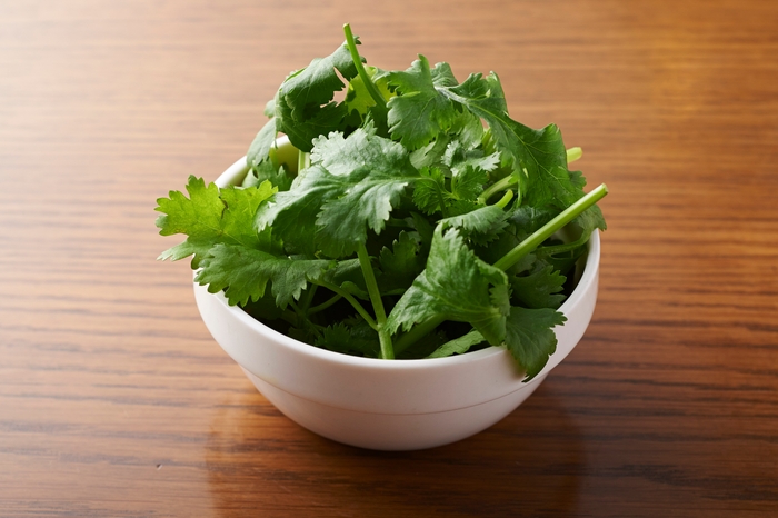 オープン記念!期間限定パクチー大盛り無料