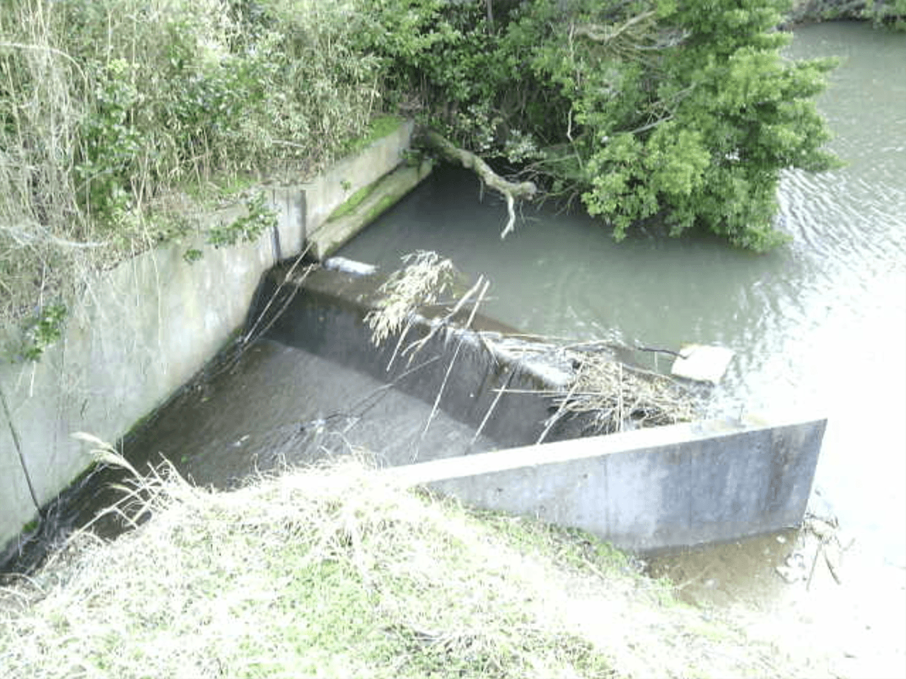 監視カメラ画像