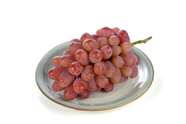 岡山県産ぶどう「紫苑(しえん)」