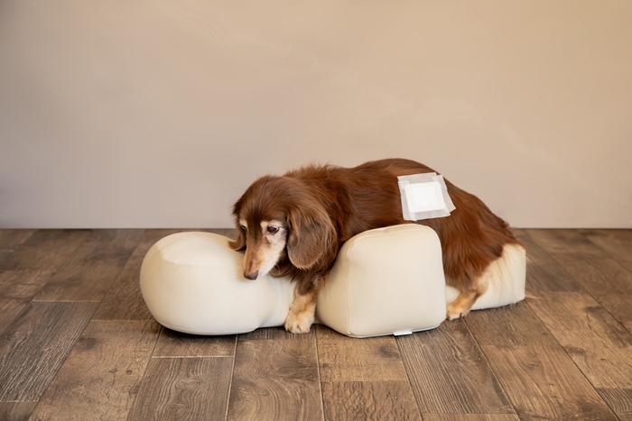 床ずれ防止イメージ