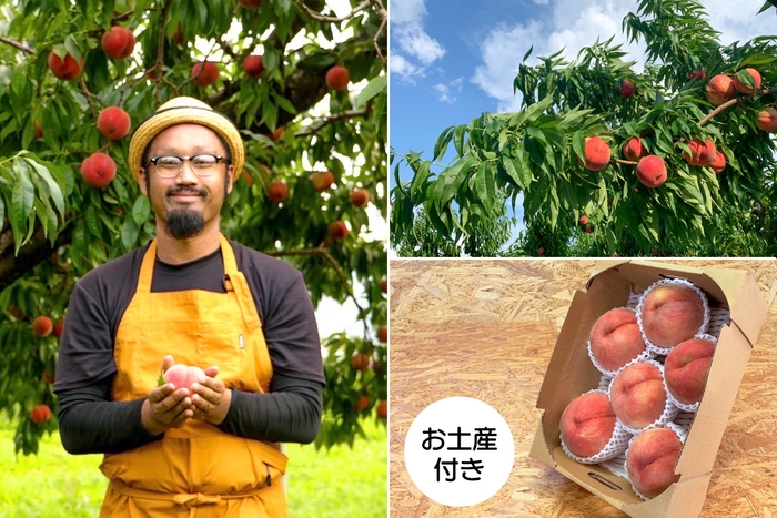 中野市でプラム・桃・りんご・ぶどうを栽培している三井農園さんで、ドローン撮影や桃狩りも。