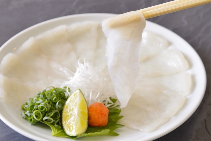 とらふぐ料理「ふぐ刺し(てっさ)」