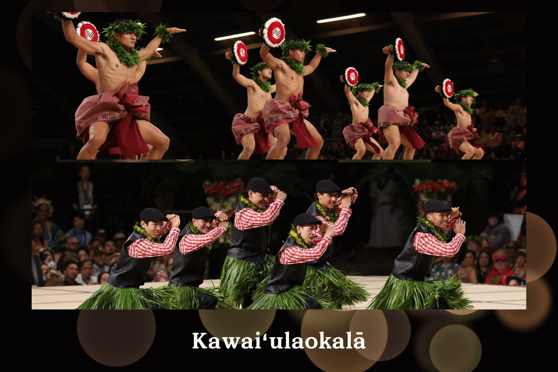 出演ハーラウ:カヴァイウラオカラー