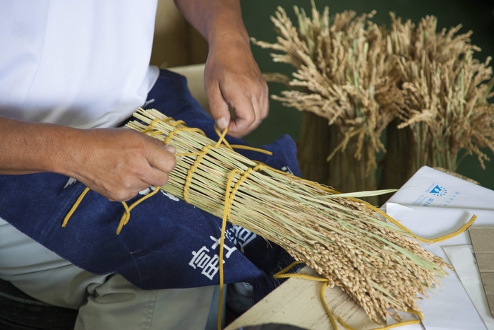 稲穂酒のかがり風景