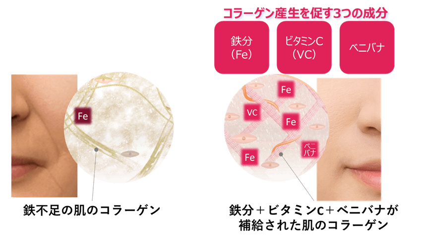 イメージ図 鉄分+ビタミンC+ベニバナの肌への影響
