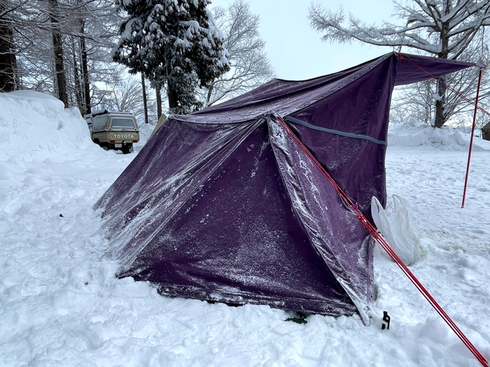 雪中キャンプ。Color：パープル