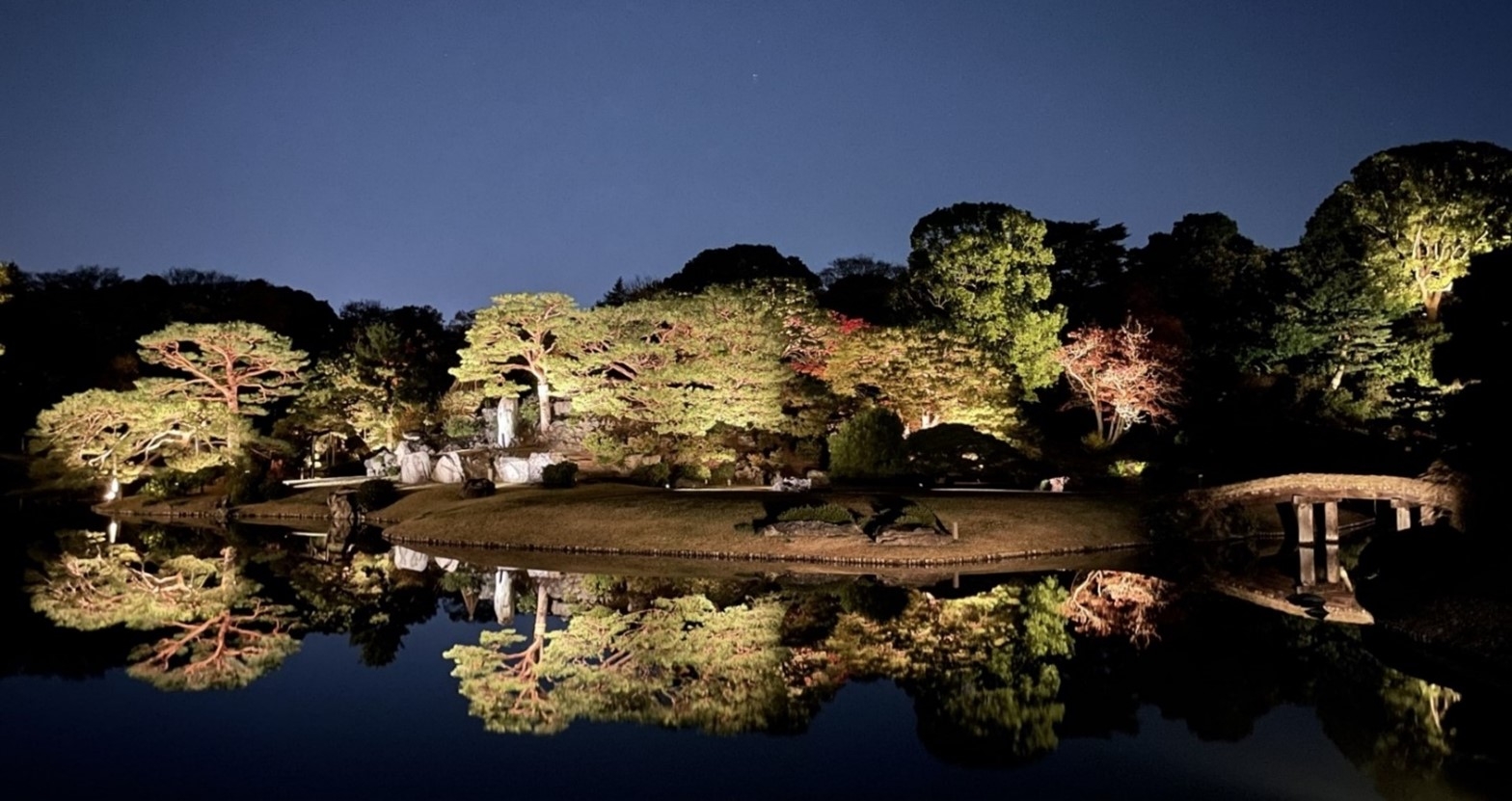 「庭紅葉の六義園」ライトアップ(過去の様子)