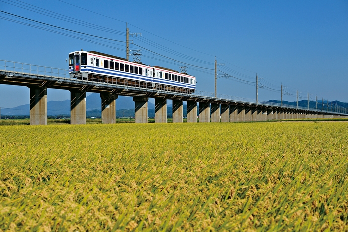 超快速スノーラビット(犀潟~くびき間)