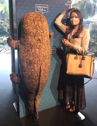 『MOMOテラス』×『京都水族館』　 「水の生きものも、もっと！知ろう」キャンペーンを8/1～31開催