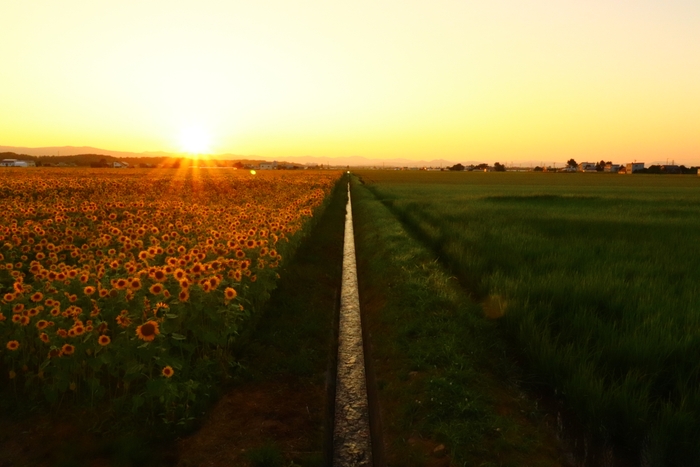 ※8枚組写真のうちの1枚