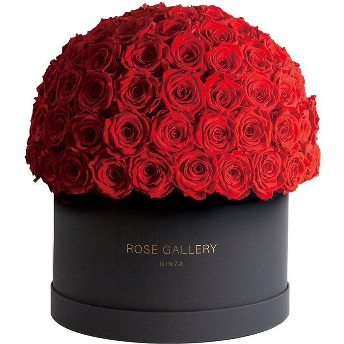 ザ・クラシック 108輪