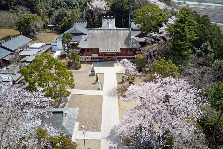 境内全景