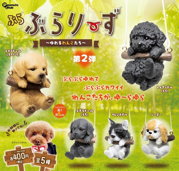 トイプードル(黒)