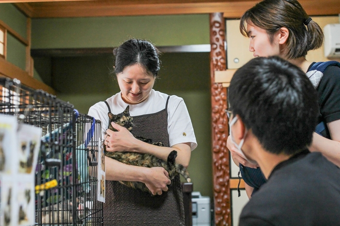 しっぽのしらべの活動の様子