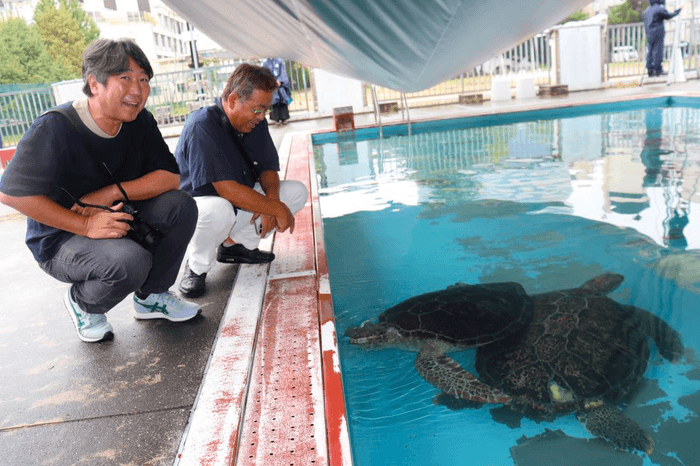 ウミガメやニシキゴイの愛らしい姿に笑顔を浮かべる島袋さん(左)