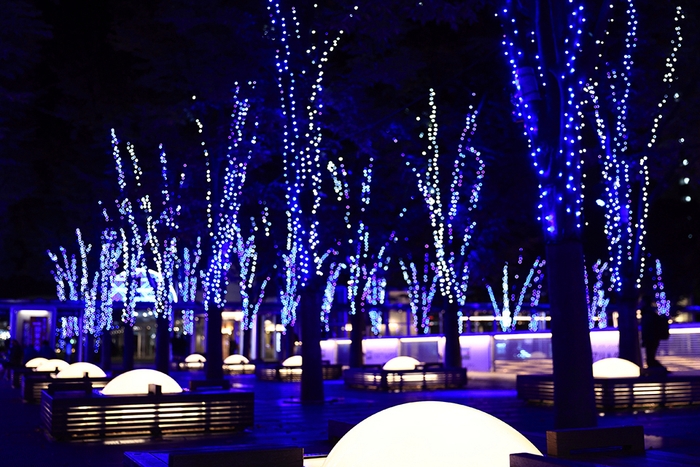 けやきひろば2階並木道