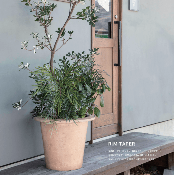 NUTRAL(ニュートラル) テーパー