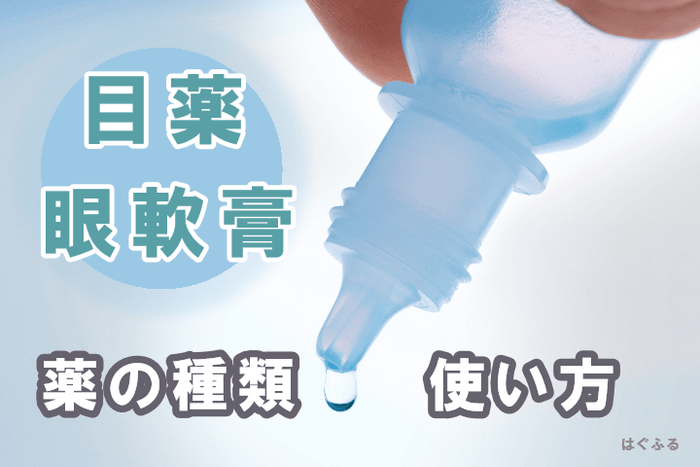 子育てに掲載中:2024年に最も読まれた記事