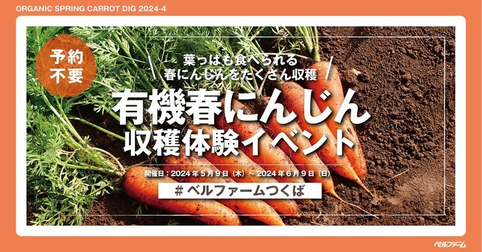 有機春にんじん収穫体験イベントイメージ画像①