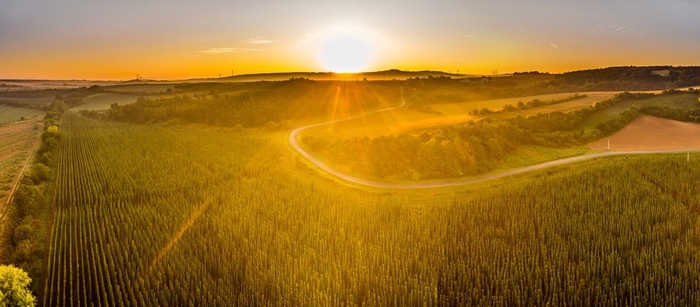 ジャテツ(写真:UPVISION)