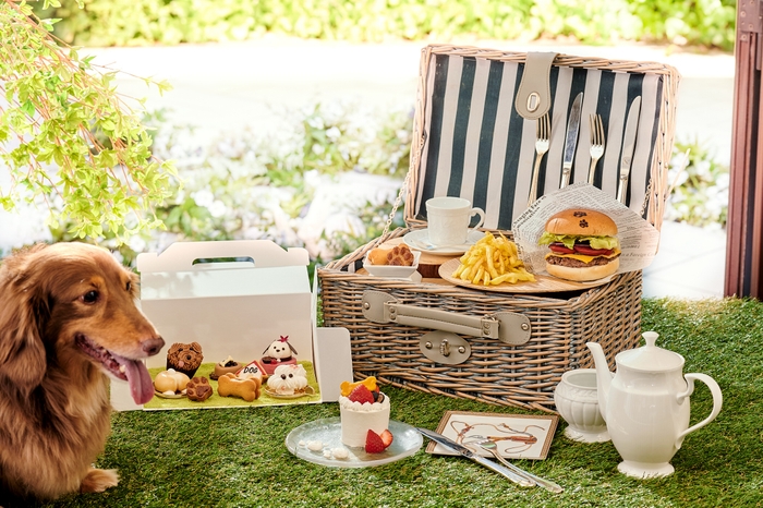 アフタヌーンティー(1名分)とわんちゃん用ケーキ