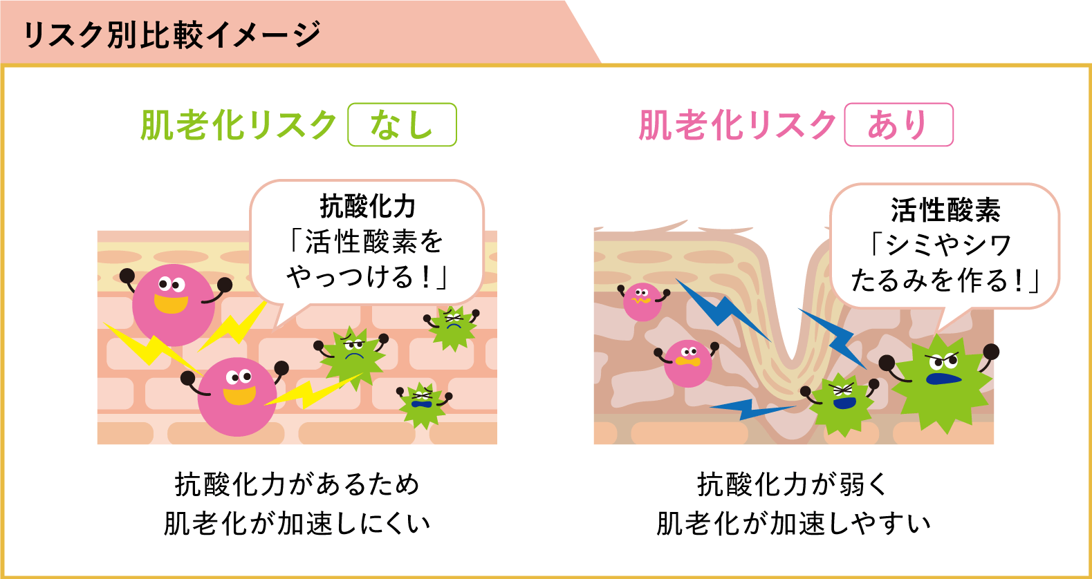 肌老化リスクのリスク別比較イメージ