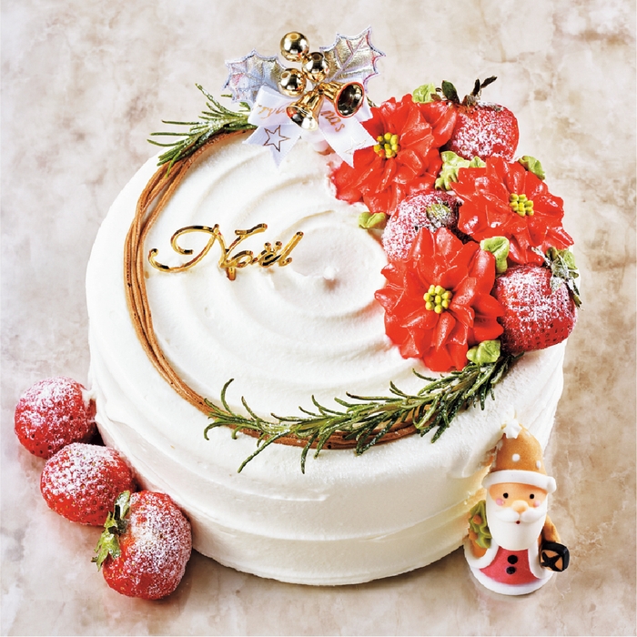 札幌円山店限定 クリスマスポインセチア