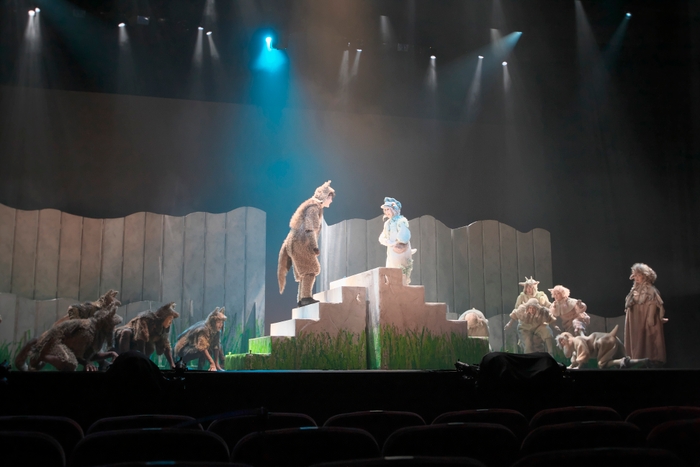 音楽劇「あらしのよるに」2019年公演より 撮影:青木司