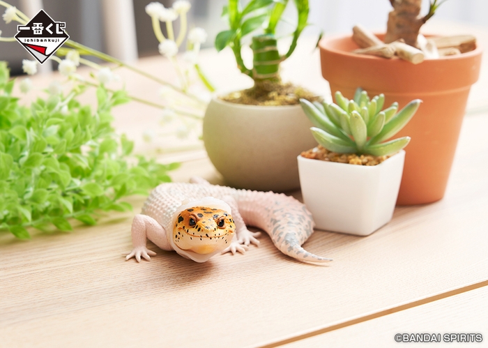 B賞:ヒョウモントカゲモドキ フィギュア~脱皮中~(イメージ)