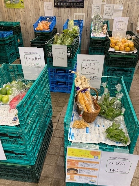 砧公園(過去の様子)