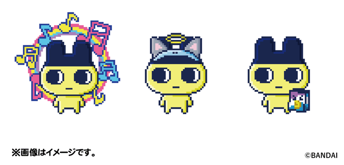 左:ミュージックオーラ(7日間参加賞)/中央:ニャンオェカチュ(5~6日間参加賞)/右:エチケットぶくろ(1~4日参加賞)