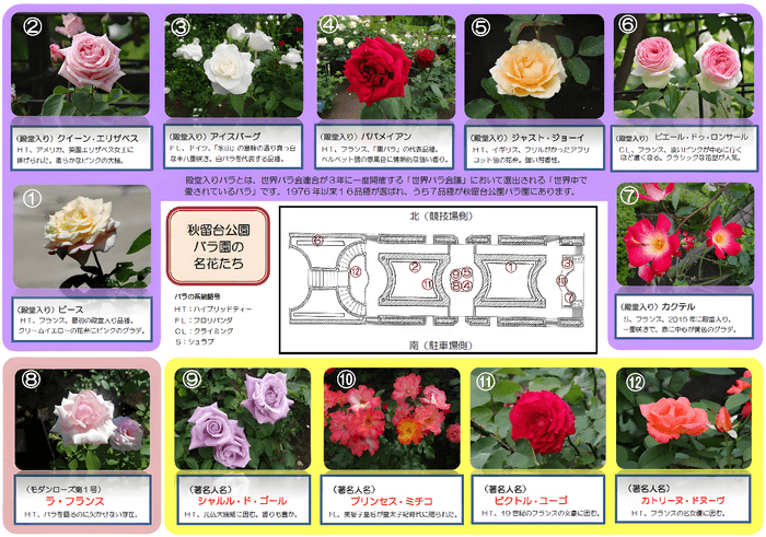 リーフレットの様子