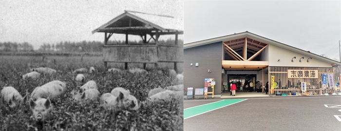 左:かつての末廣農場(写真所蔵:橘家) 右:観光・交流拠点末廣農場(写真所蔵:富里市)