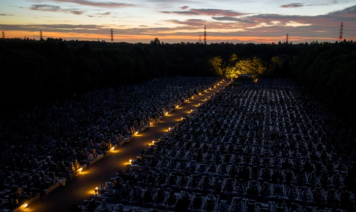 船橋昭和浄苑の参道を月燈慈が優しく照らします