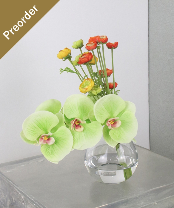 SDGsファレノプシスグリーン¥16,500税込