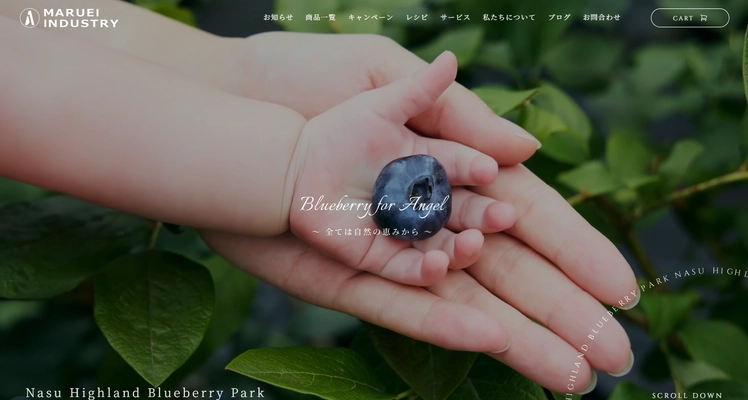 那須高原の特別な贈り物。大自然の恵み100％の 「極上大粒プレミアムブルーベリー農園」が新規オープン！