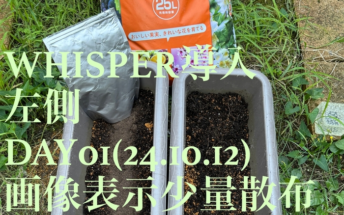 比較評価散布量