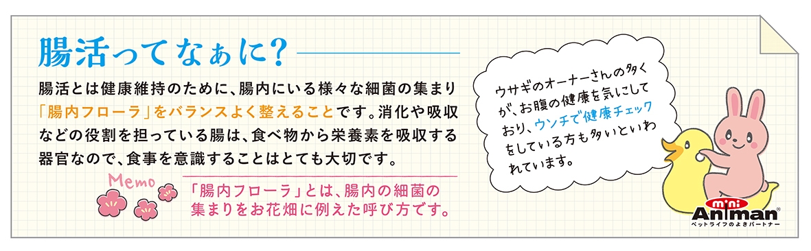 腸活とは?