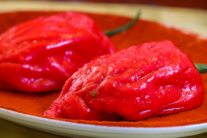 真夏のシン・ジャンボ餃子 ヨリ