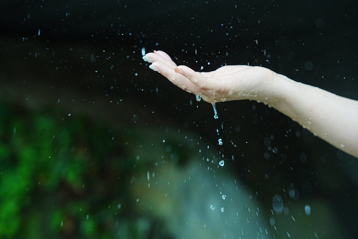 雨上がりの滴る水滴を利用して