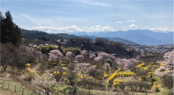 高遠ジャズ&ブルースフェスティバル公式サイト