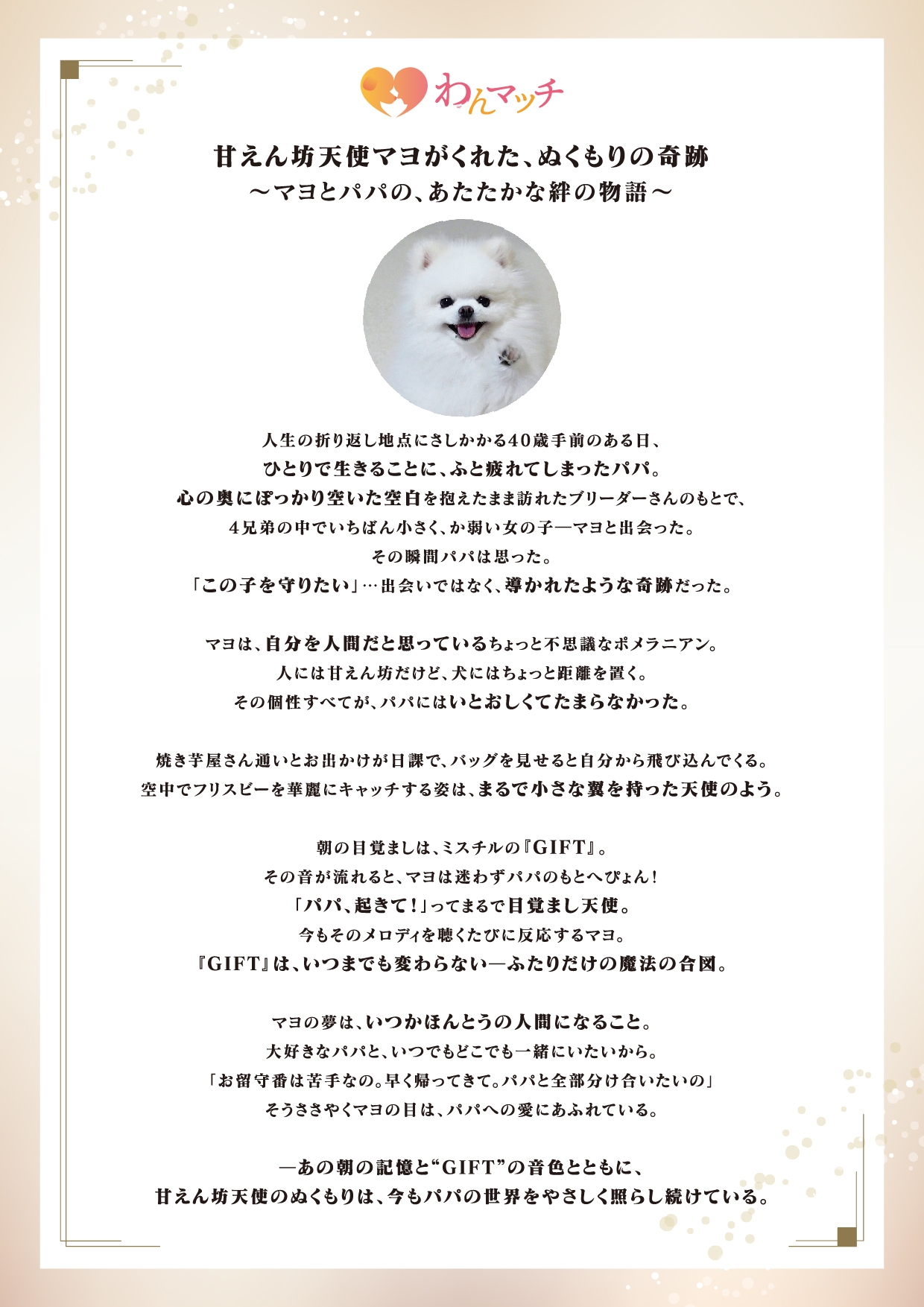 あなたと愛犬の物語 ストーリーレポートイメージ