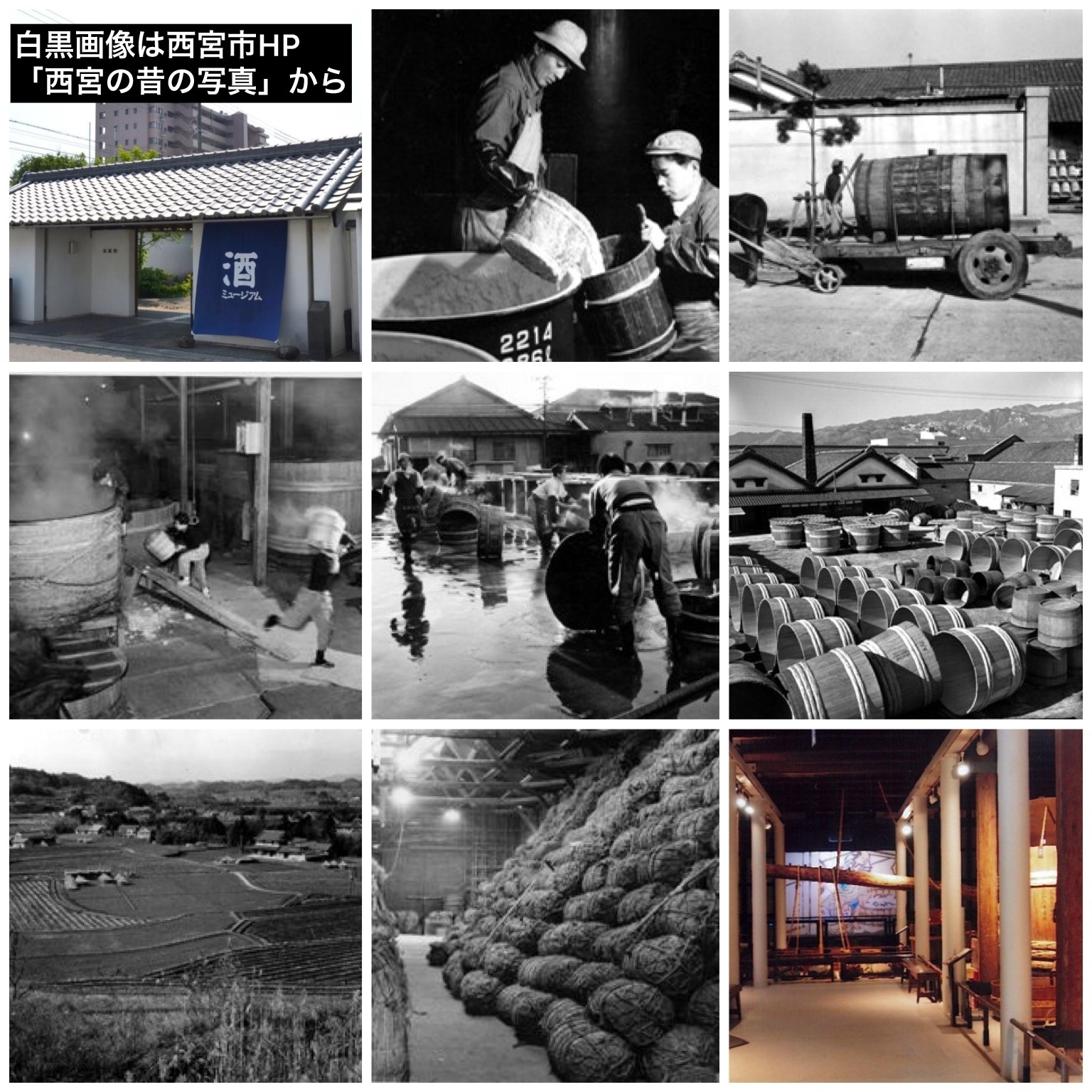 日本酒が環境保全に・酒ミュージアムも